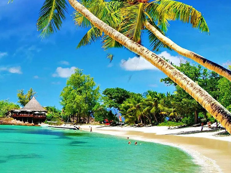 Goa beach destination  – Fly Cheap Fares